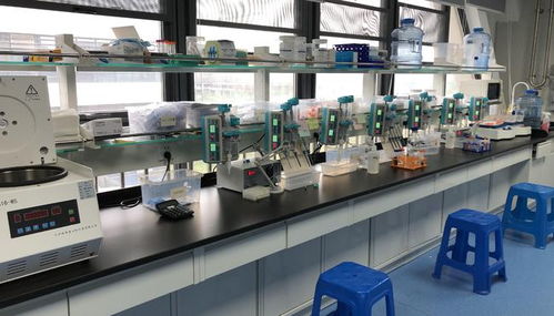 早篩創新與科技融合，天浚元生生物獲國高生物戰投，領跑教育科技軟件研發新賽道